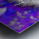 Abstract Coloured Dandelion Seeds Close Up Metal print