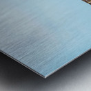 bridge to the beaches Metal print