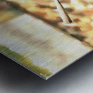 Sunny Day Swing Metal print