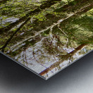 Sunny Nature Path in the Scottish Highlands   Metal print