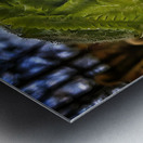 Unfolding - Maine Botanical Wall Art Metal print