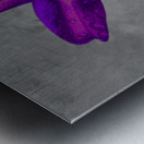   Abstract  Stunning Purple Lily Metal print