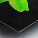  Abstract  Stunning Glowing Green Lily Metal print