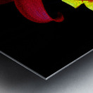 Cool Contemporary Dark Lily Flowers Metal print