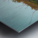 Fall Colors Metal print