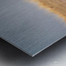 African Fish Eagle Metal print