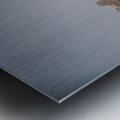 Wildebeest Metal print