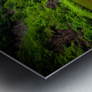 Ithaca Falls Metal print