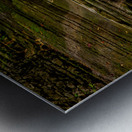 Watkins Glen stairway Metal print