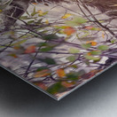 Teton Moose in the Bushes Metal print