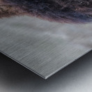 Buffalo head Metal print