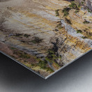 Badlands Bison Metal print