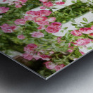 Fancy Fence Metal print