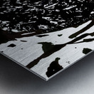  Abstract Swirling Black and White Woodland Plant Metal print