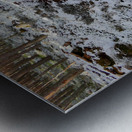  A Winters Walk in the Woods in the Scottish Highlands Metal print