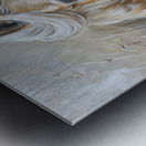 Sassafras Windy Palomino Print Metal print