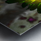 Abstract Impressionistic Glowing Illuminated Daisy Flower Metal print