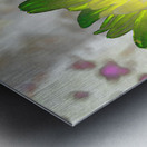 Abstract Impressionistic Illuminated Daisy Flower Metal print