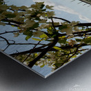 Belle Isle Bridge 03 Metal print