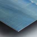 On Its Last Legs Metal print