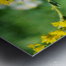 Eastern Monarch Butterfly Metal print