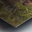 Juvenile Ducks in a Row Metal print