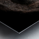 Gaze of Bahati Metal print