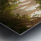 Enchanted Landscapes Metal print