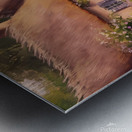 The old house - thatched roof Metal print