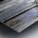 Summer Daises and Grass Metal print