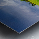 Viale di Cipressi Metal print