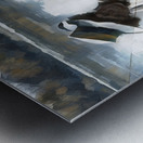 1907 Her First Catch of the Season Metal print