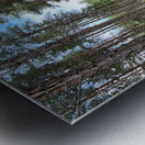 On the Nature Trail in the Scottish Highlands Metal print