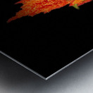 Summer Plant in a Tub  Metal print