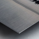 Spring Colpoys Bay Metal print