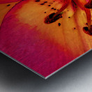 Abstract Close Up Lily Flower Metal print