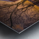 kerr mill north carolina5 Metal print