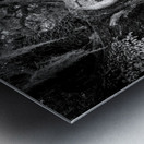 McClellanville Historic Live Oak Tree Metal print