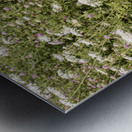 They Play So Well Together Metal print