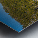 Fannette Island Metal print