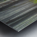 Moultrie Forest Hues Metal print