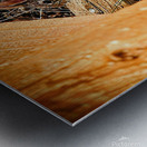 Bunnyette Metal print