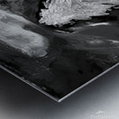 The Forest Drenched in Silver Moonlight Metal print