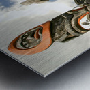 British Columbia Totem Poles Metal print