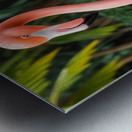 Grace in Pink Flamingo Metal print