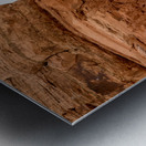 Delicate Arch Narrow Path Metal print