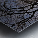 2024 Portfolio 24 Metal print