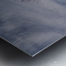 2024 Portfolio 1 Metal print