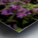 2024 Portfolio 4 Metal print