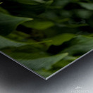 2024 Portfolio 25 Metal print